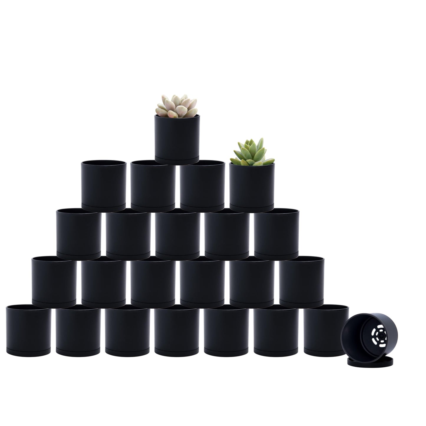 D'vine Dev 24 Pack 2 Inch Mini Plastic Plant Pots, Small Garden Planters for Plant with Drainage Holes and Saucers, Black Color, 74-Y-A-6