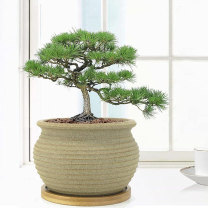 MUZHI Rustic Small Plant Bonsai Pot with Bamboo Tray Set of 4, Unglazed Ceramic Cactus Planter Pot Indoor with Drainage Hole 4Inch 5Inch
