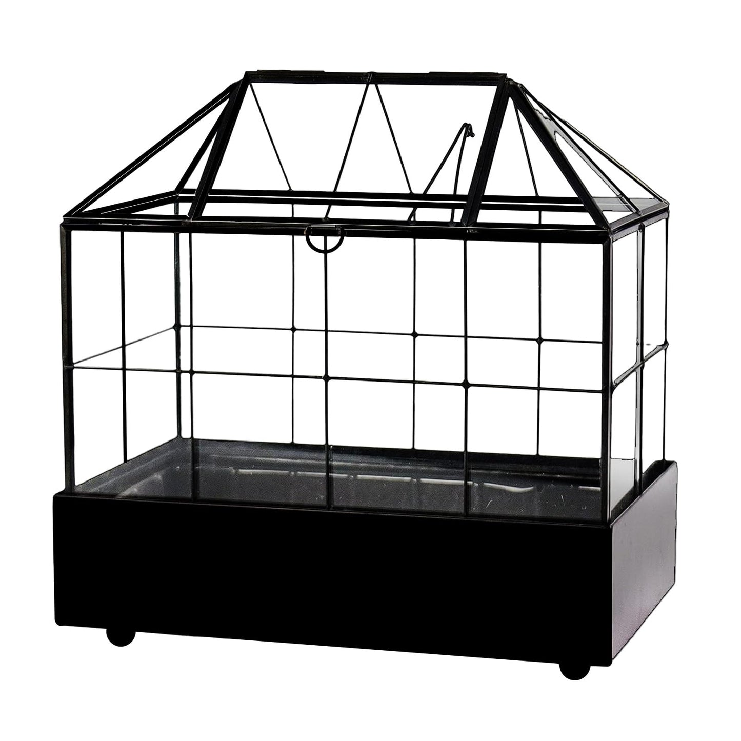 YIMORENCE V Large Tall Plant Terrarium Glass Greenhouse with Lid and Tray, Indoor Tabletop Orchid Succulent Cacti Kit 9.5'X9.8'X5.6'