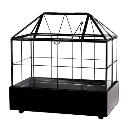 YIMORENCE V Large Tall Plant Terrarium Glass Greenhouse with Lid and Tray, Indoor Tabletop Orchid Succulent Cacti Kit 9.5'X9.8'X5.6'