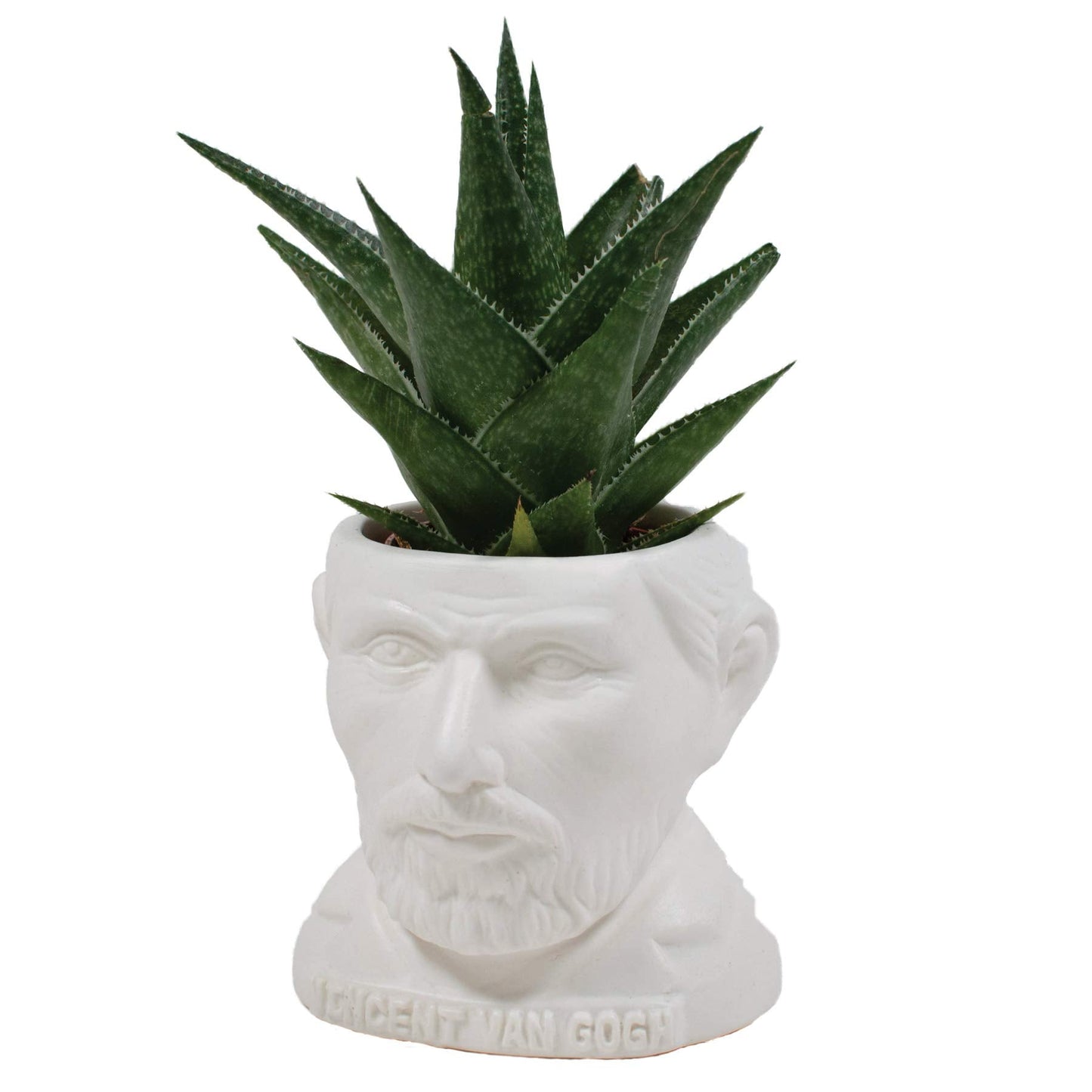 The Unemployed Philosophers Guild Vincent Van Gogh Bust Ceramic Planter
