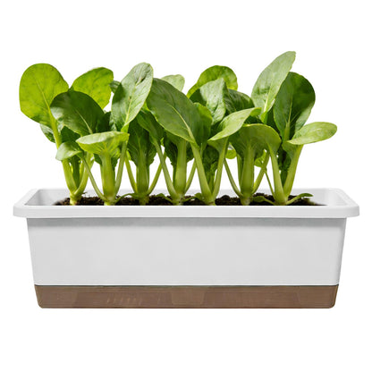 Rectangular Flower Planter - Automatic Water Supply Container, Root Hydration Growing Box, Indoor Outdoor Gardening Pot | Indoor Patio Balcony for Outdoor Patio Balcony