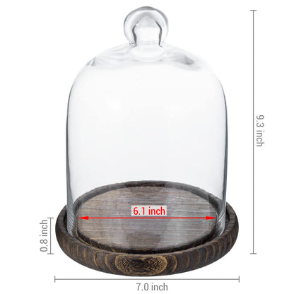 MyGift Clear Cloche Glass Dome,9 Inch Display Bell Jar with Top Handle and Rustic Brown Solid Wood Base