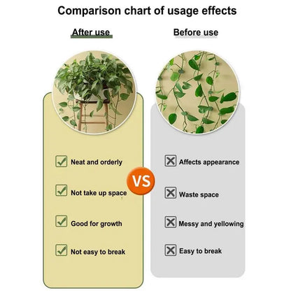 Plant Climbing Wall Fixture Clips 80Pcs Rattan Vine Fixer Self-Adhesive Hook Invisible Wall Sticky Clip for Indoor Outdoor Gardening