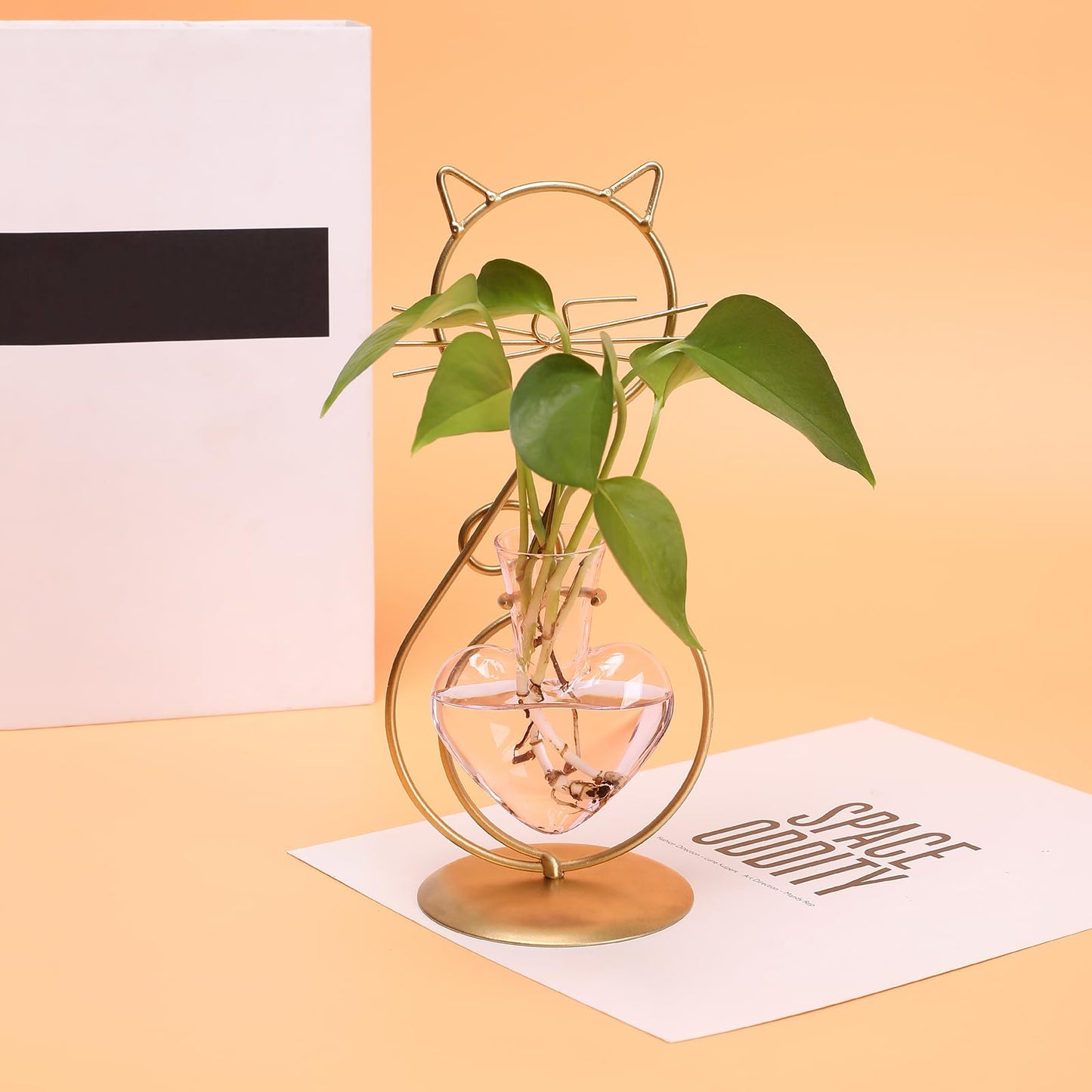 Plant Terrarium Plants Propagation Station Cat Lover Gifts for Women Home Office Decor Cat Desk Accessories