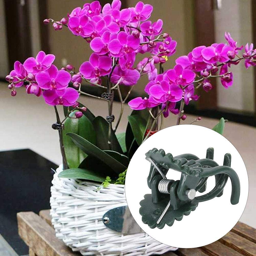 Fdit 200Pcs Plant Clips Orchid Clips Flower Shaped Plant Clip Orchid Stems Fixing Support Supporting Stems Vines to Grow (Green)