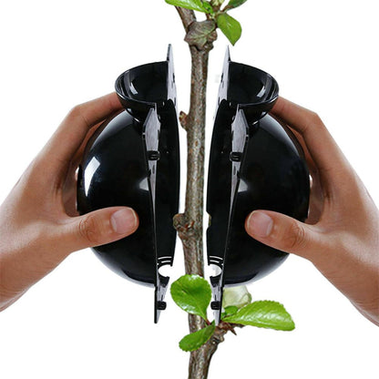 DESIGNSCAPE3D Plant Propagation Air Layering Pod, Transparent Rooting Box for Cloning, 2 Sizes (3.14in, 4.72in), Reusable, Fast Rooting, Safe for Parent Plants (Large)