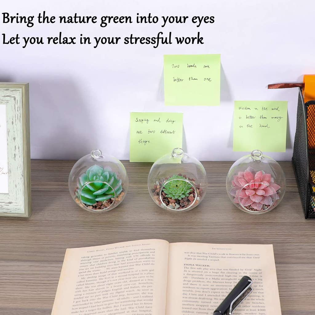 Hanging Glass Terrarium Globe Tea Light Candle Holder Succulents Vase Hanger for Home Wedding Party Indoor Outdoor Decor Glass Terrariums for Plants Wall