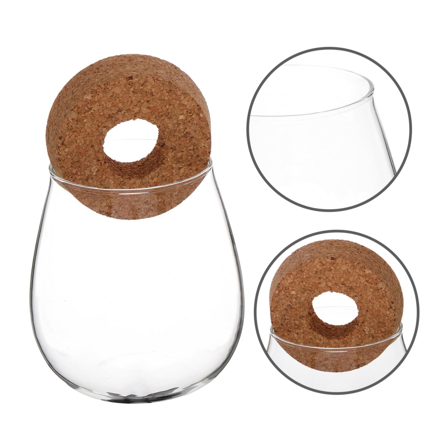 CIYODO Elegant Hydroponic Glass Vase for Indoor Plant Propagation Space Saving Terrarium for Home Decoration Minimal Maintenance Design for Plants