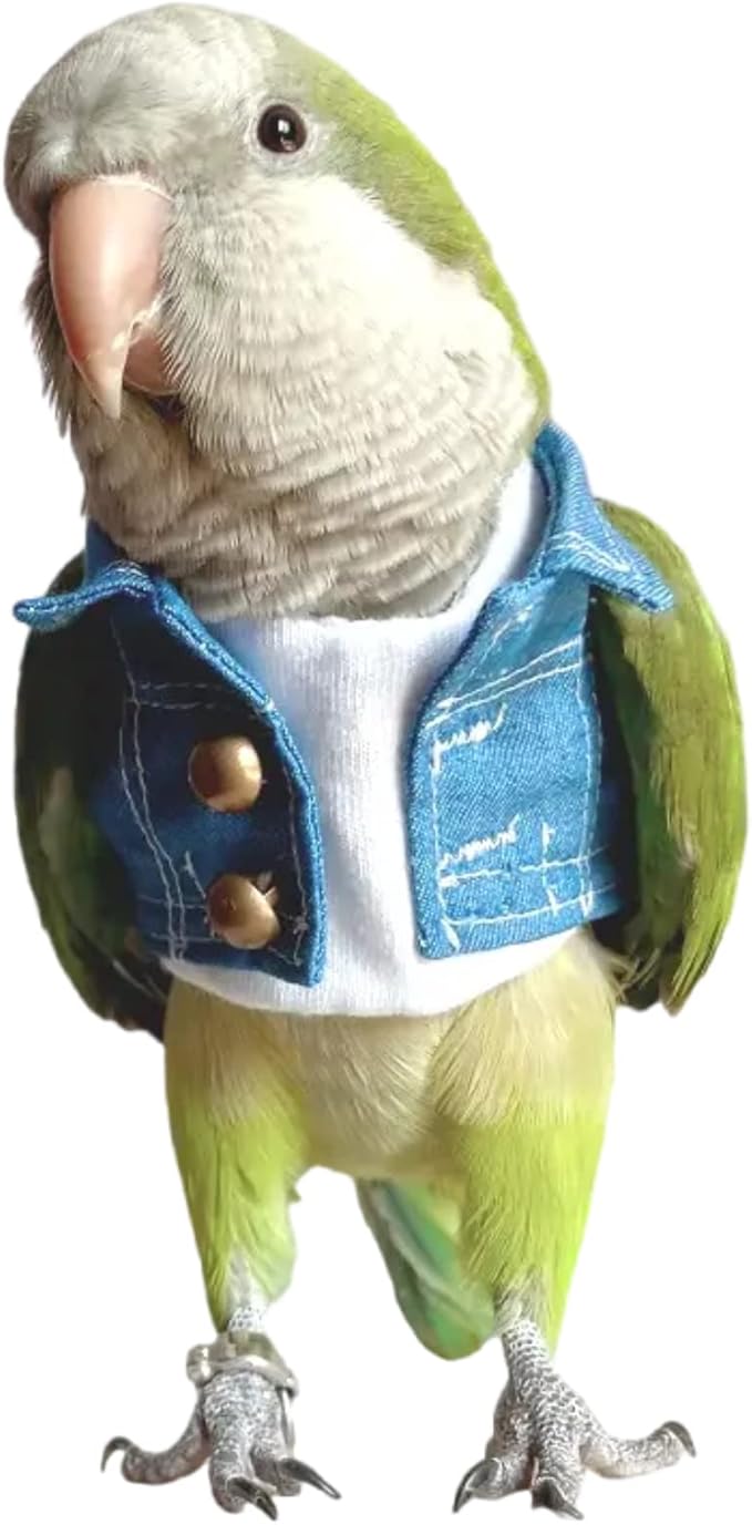 Bird Costume Bird Diaper Flight Suit Bird Jeans Fake Two Pieces Bird Clothes Cosplay Photo Prop for Parrots Lovebird Parakeet Cockatiel Small Animals Apparel (with Diaper,Caique)