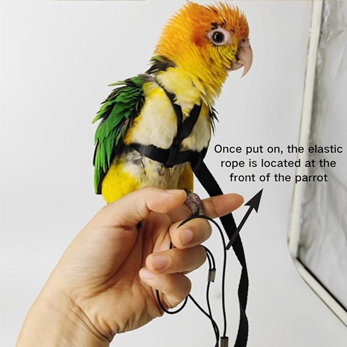Adjustable Bird Harness and Leash for Parrots Outdoor Flight Training Anti-Bite Light Weight Easy-to-Wear Bird Vest with 59 Inch Elastic Leash for Quaker Conure African Grey Macaw Cockatoo (M)