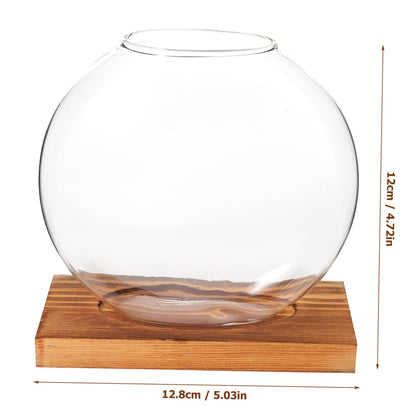 ABOOFAN Hydroponic Plant Vase with Base Glass Propagation Bottle for Desktop Decoration Transparent Terrarium Planter for Home Office Wedding Modern Tabletop Adornment