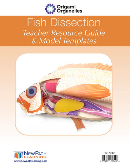NewPath Atlantic Perch Fish Dissection 3-D Paper Model Making Kit - Individual Student Edition (17-7747)
