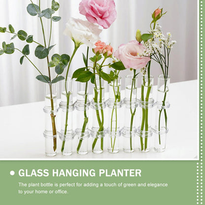 BESPORTBLE Test Tube Glass Vases for Flowers 8pcs Large Hydroponic Plant Terrariums with Brush Home Décor Propagation Station for Living Room Desk