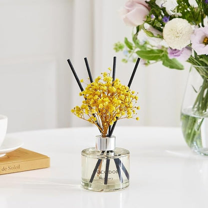 COCODOR Preserved Real Flower Reed Diffuser/Cashmere Vanilla / 6.7oz(200ml) / 2 Pack/Reed Diffuser Set, Oil Diffuser & Reed Diffuser Sticks, Home Decor & Office Decor, Fragrance and Gifts