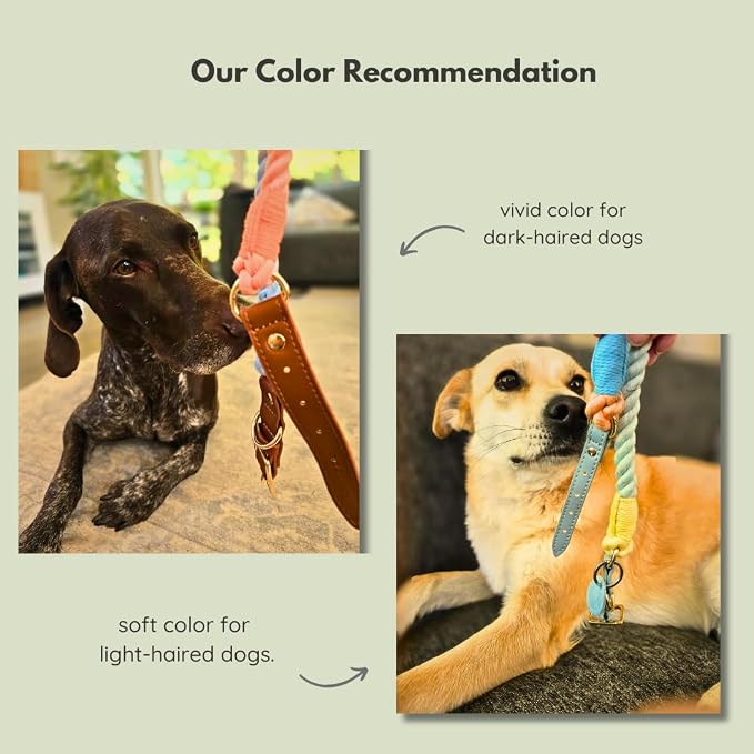 Pawtopia Cotton Braided Rope Collar for Medium Dogs, Vegan Leather Handle (Brown) with One Complimentary Roll of Dog Poop Bags (15 Bags), Durable Metal Buckle (Vivid Rainbow Color, Medium)