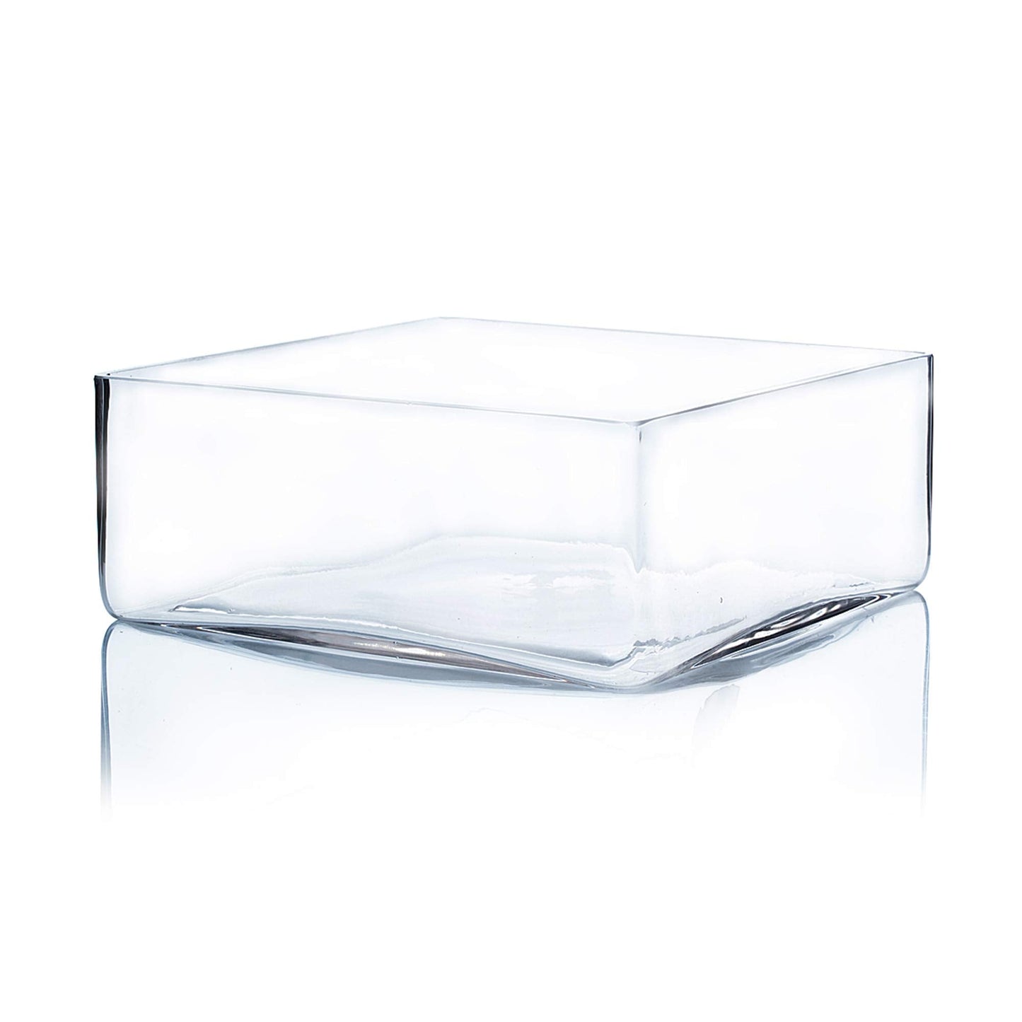 WGV Square Block Glass Vase, Length 10", Height 4", Clear Large Planter Terrarium, Floral Container for Wedding Party Event, Home Office Decor, 1 Piece