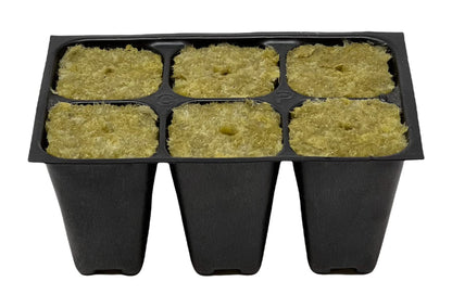 The Hydroponic City Seed Starter Tray, 1440 Cells (240 Trays - 6 Cells Per Tray) + Plant Stakes
