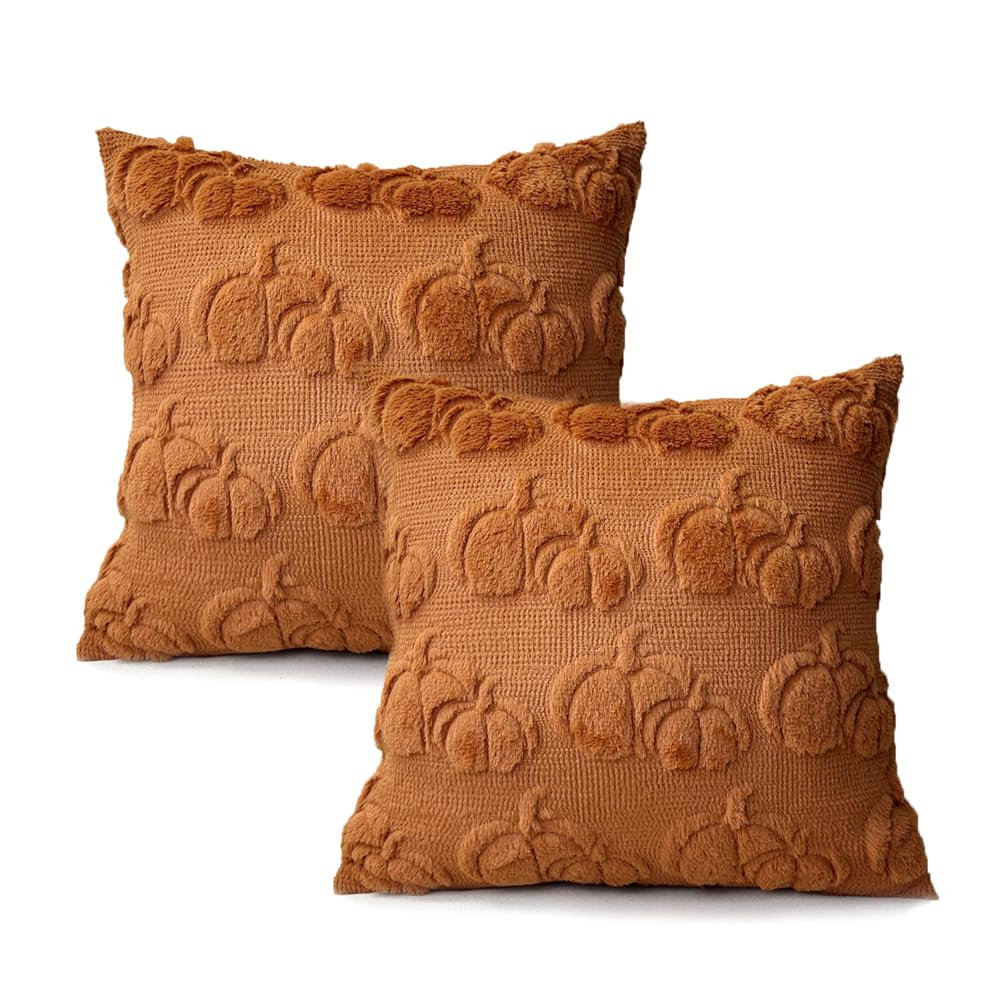 Booque Valley Fall Decorative Pillow Covers Set of 2 Soft Fluffy Faux Fur Wool Rust Pumpkin Throw Pillowcases for Autumn Halloween Farmhouse Home Decor, 20 x 20 inch, Terracotta