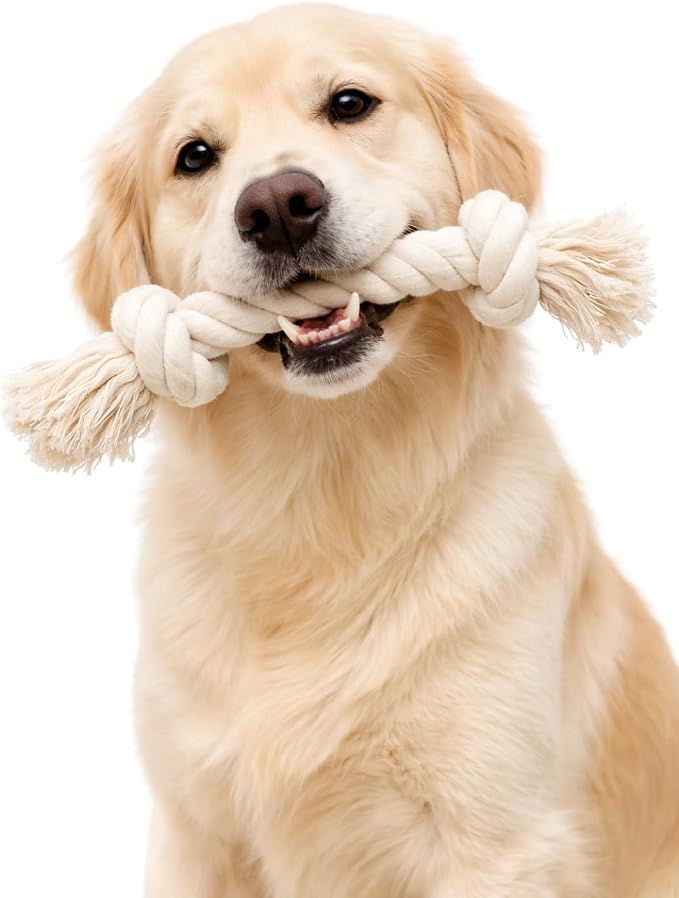 Dog Rope Toys for Large/Medium Aggressive Chewers, Tough Cotton Chew Toy, 39 Inch 5 Knots Indestructible, Tug of War Dog Pull Rope Teeth Cleaning (2 Knots (Pack of 2))