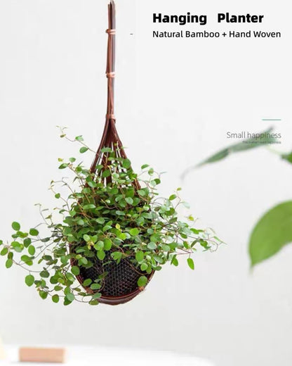 Gogeffor Hanging Orchid Planter: 3 Pack Wall Plant Pot with Adjustable Hook Breathable - 4 Inch Handmade Bamboo Flower Basket for Indoor Window Balcony Corridor Railing Garden Fence - Brown