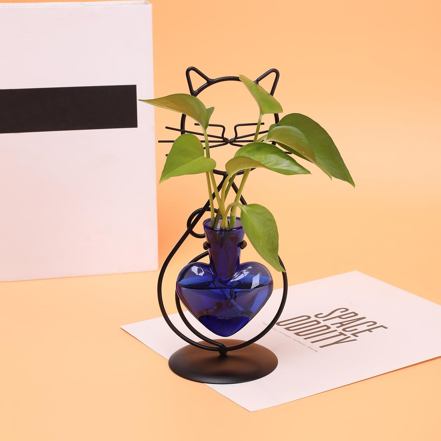 Plant Terrarium Plants Propagation Station Cat Lover Gifts for Women Home Office Decor Cat Desk Accessories