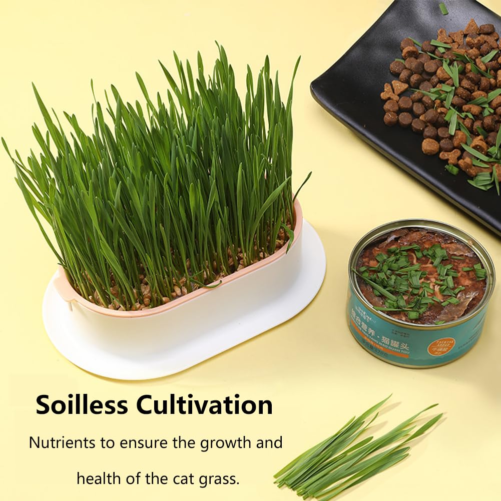 Londehuhai 3pcs Cat Grass Planter, Plastic Catnip Cat Grass Box Wheatgrass Planting Trays Hydroponic Ca-t Gras-s Growing Kits Nursery Ca-t Plant Garden Pots for Indoor/Outdoor Use(Color:3)