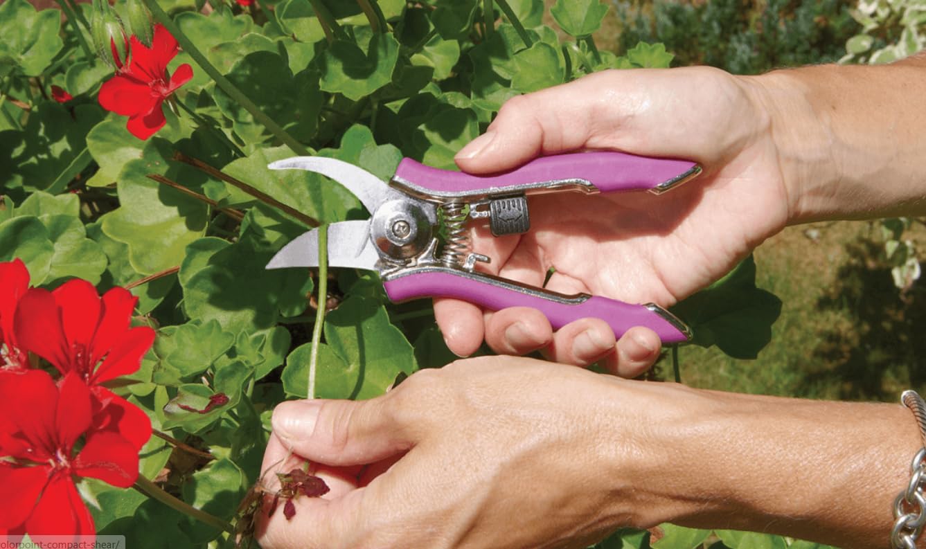 Dramm ColorPoint Stainless Steel Compact Garden Pruning Shears, Hand Pruner, Garden Clippers, with Heavy Duty Blade and Easy grip Handle, Yellow