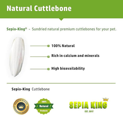 Sepia King - Extra Large - 100% Natural Calcium Supplement - Premium Cuttlebone Perfect for Birds, Tortoises, Snails, Reptiles - Pack of 3