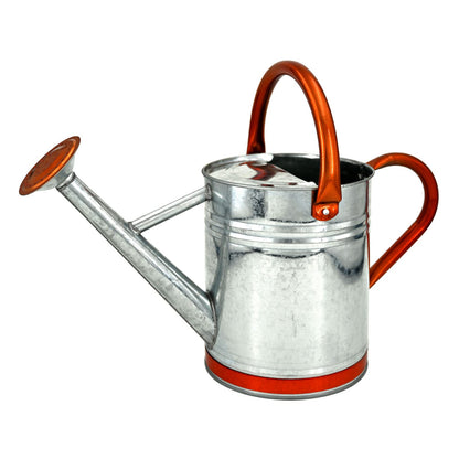 Lechloris Metal Watering Can for Outdoor Plants, Galvanized Steel Watering Can with Removable spout, 1 Gallon,Perfect Home & Garden Décor Retro Zinc Hue