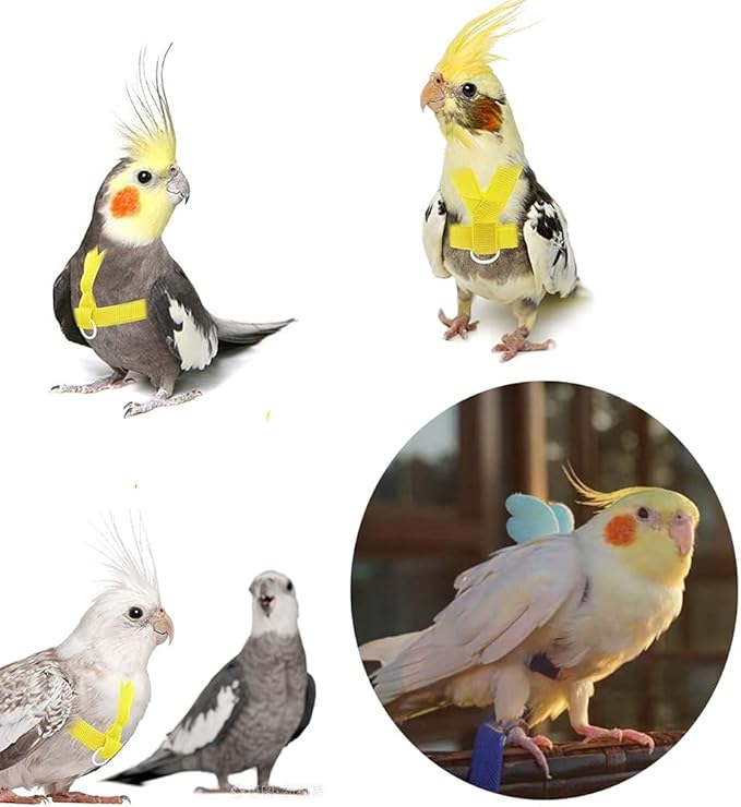 Birds Adjustable Harness and Leash, Parrot Outdoor Flying Training Traction Rope Straps with Cute Wing for Small Animal, Parrots, Pigeons, Bird Flight Vest, Pet Training Leash(Pink,L)