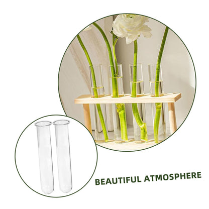 Ciieeo 5pcs Glass Hydroponic Plant Propagation Tubes Desk Vase for Live Plants Transparent Terrarium Tubes for Home Office Decoration and Floral Arrangements