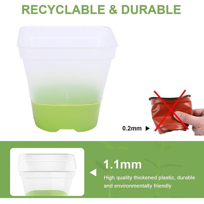 Yosoo Health Gear Nursery Pots with Drainage Holes 6 Sets Transparent Plastic Garden Pots Planter with Slipproof Silicone Base Lids, 3in Square Clear Plant Pot Reusable for Plants Starting