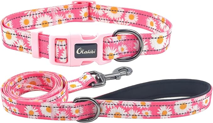 Dog Collar Leash Set, Floral Pattern, with Safety Reflective Strips, 5 ft Matching Leash, Neoprene Padded Handle, Adjustable 4 Sizes for Small Medium Large Dogs.(XS, Pink Daisy)