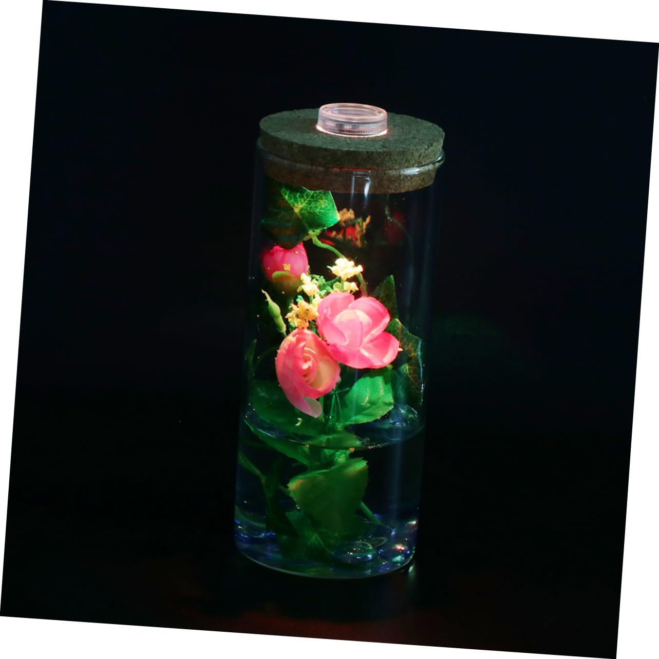 SUPVOX Modern Led Lighted Eco-Bottle Glass Terrarium Bottle Cork Cap Terrarium Decor for Home Office Aquarium Background Plant