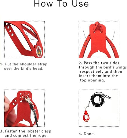 Adjustable Bird Harness & Leash Set for Small Birds,FitsBudgie,Parakeets, Conures, Cockatiels,Green Cheek,Quaker Parrots(Red, XL) Z6350-11