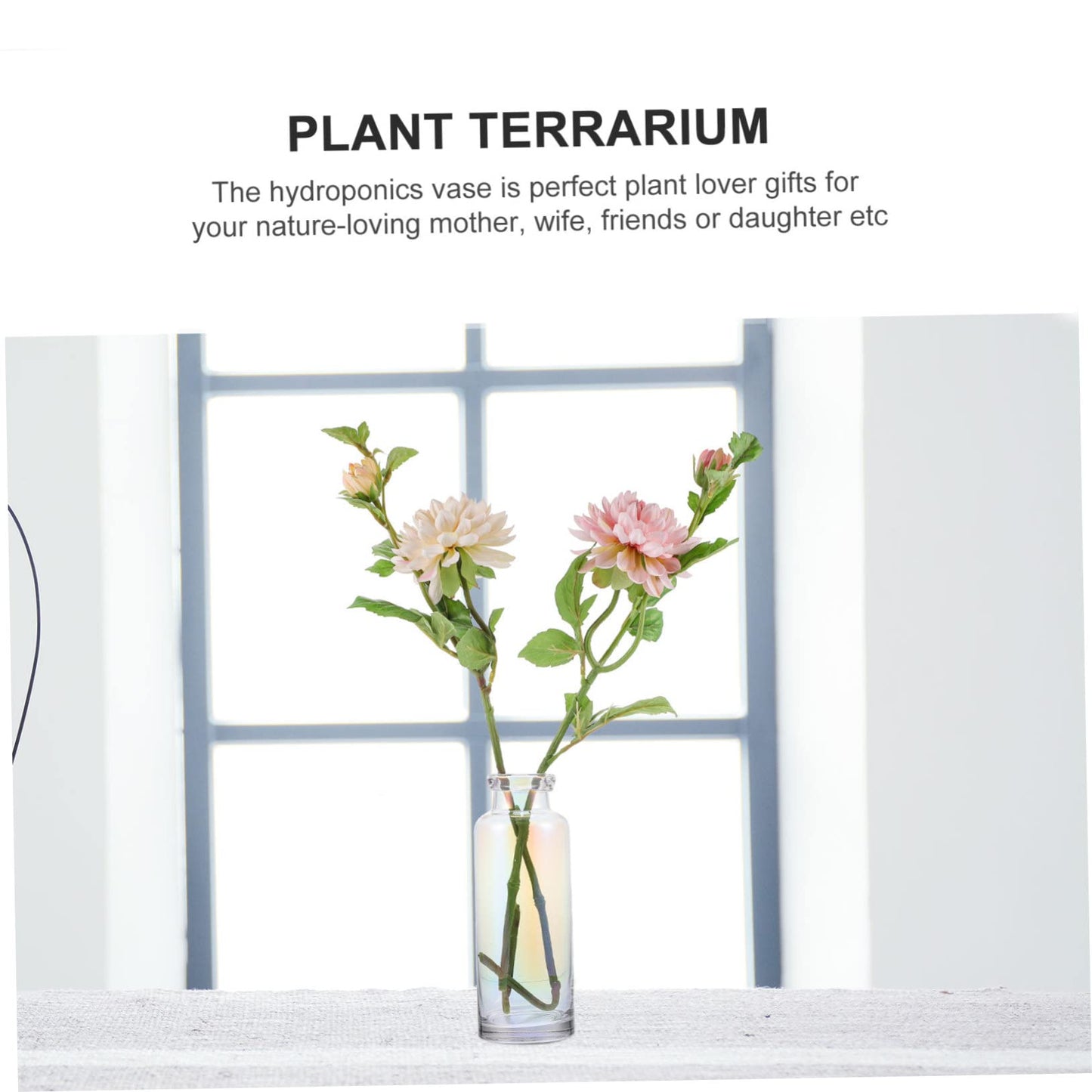 Alipis Glass Hydroponic Vase for Desktop Home Decoration Plant Terrarium Planter for Office and Events Modern Design for Hydroponics and Floral Arrangements