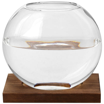 HAKZEON 4 Pack Desktop Round Glass Planter Hydroponics Vase, Glass Planter Terrarium Flower Vase with Wooden Stand, Propagated Plant Jars for Plants, Flower, Home Office Desktop Decor
