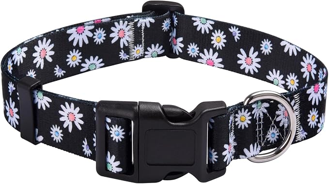 MarukoPet Dog Collar, Adjustable for Small Medium Large Dogs Puppy, Cute Design with Bohemia Floral Tribal Geometric Patterns Boys Girls Dog Collar(Black Daisy-M)