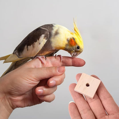 Yardwe Parrot Chewing Blocks 100Pcs Wooden Bird Cage Toys with Hanging Holes for Beak Trimming and Mental Stimulation Suitable for Parakeets Cockatoos Macaws