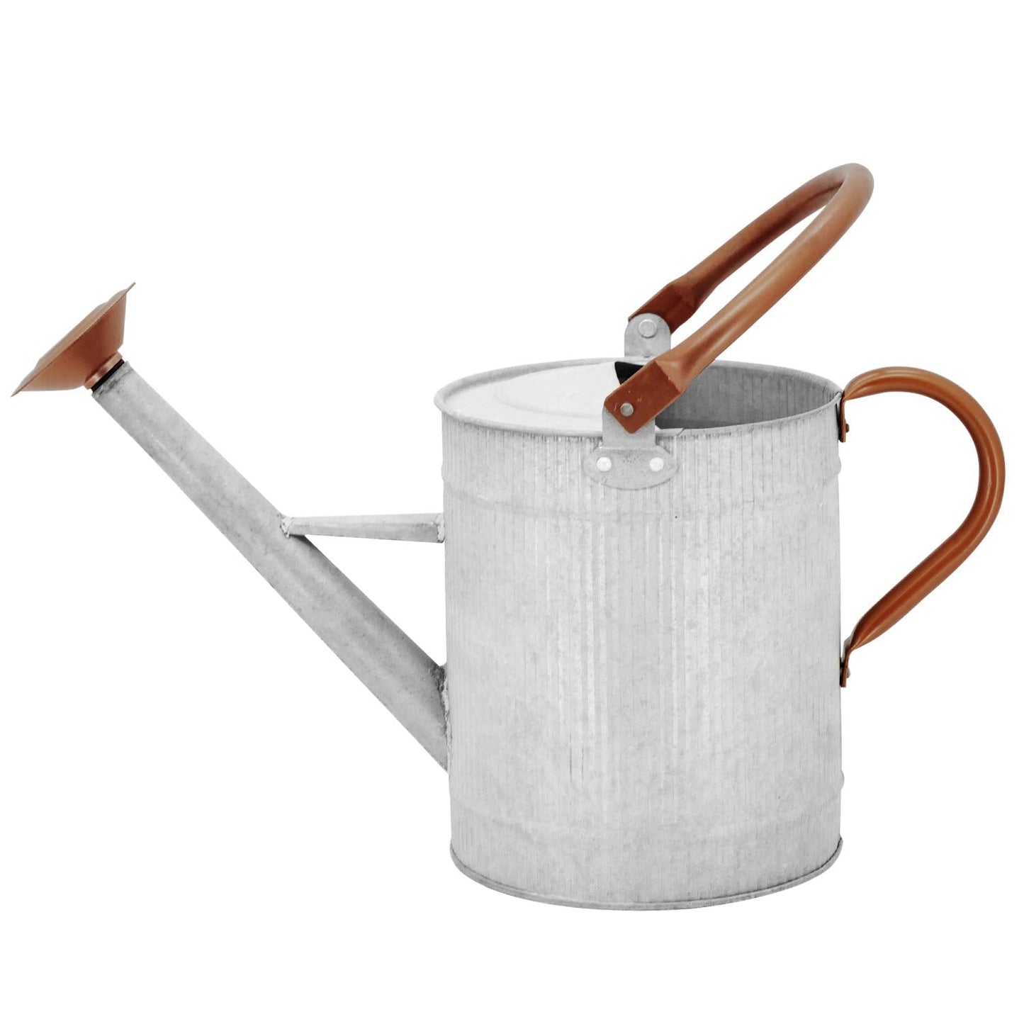 HORTICAN 1 Gallon Watering Can, Metal Watering Can with Removable Spout, Farmhouse Galvanzied Water Can, Nice Plant Water Can for Indoor Use and for Outdoor Use