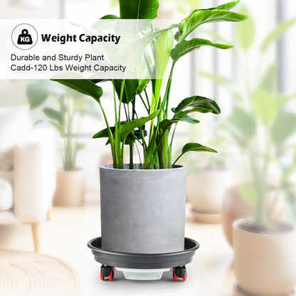 RooTrimmer 15 Inch Plant Caddy with Wheels,Heavy Duty Rolling Planter Dolly,Drainage Holes & Drip Tray,Movable Plant Stand for Heavy Pots Indoor Outdoor