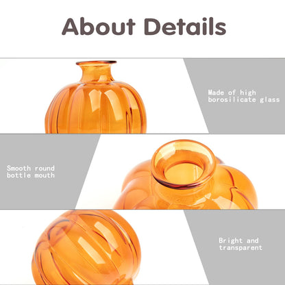 XXXFLOWER Plant Terrarium Propagation Stations Unique Gifts for Women Plant Lovers 3Pcs Pumpkin-Shaped Glass Vase for Tabletop Home Office Garden Decor (Plants NOT Included)