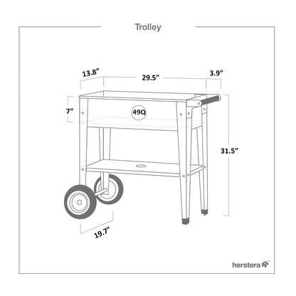 Herstera Raised Garden Bed with Wheels, Galvanized Steel Rectangular Elevated Planter Trolley with Cart Wheel & Drainage Hole, Ideal for Gardens, Indoor or Outdoor Patio/Porch, Silver
