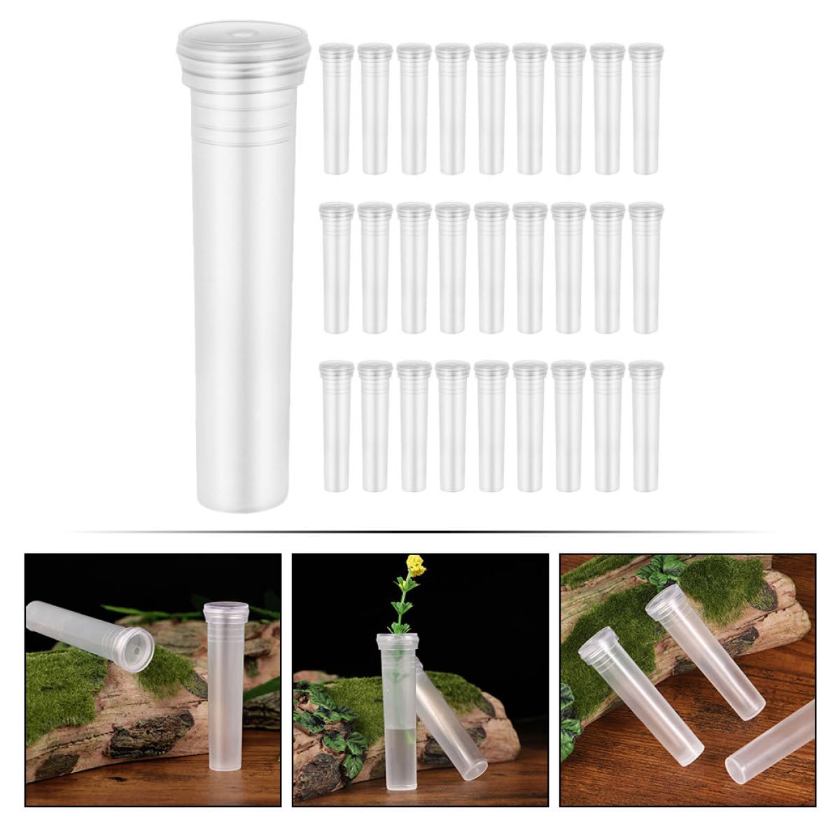 HOMOCONO 100pcs Small Hydroponic Plant Vases Glass Flower Propagation Tubes for Office Desktop Terrarium Plant Supply