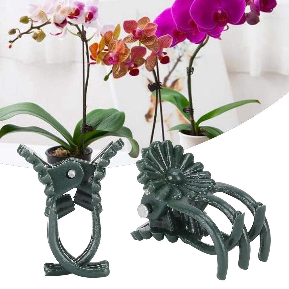 Fdit 200Pcs Plant Clips Orchid Clips Flower Shaped Plant Clip Orchid Stems Fixing Support Supporting Stems Vines to Grow (Green)