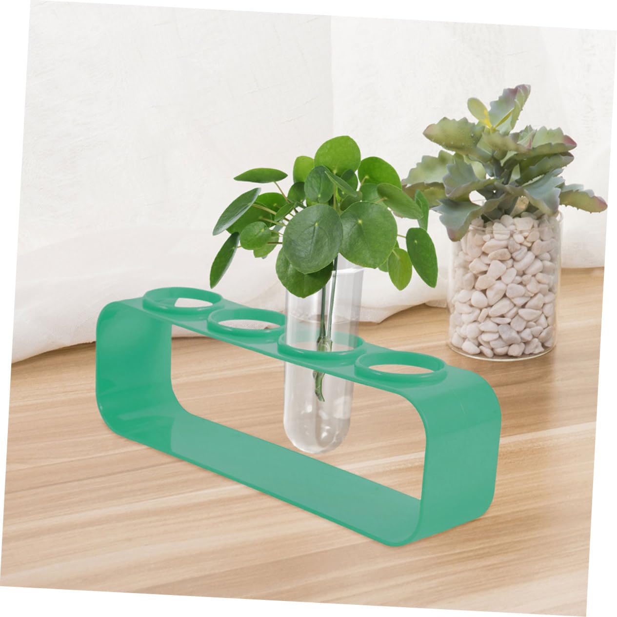 BESPORTBLE 5pcs Glass Test Tube Vases Set Hydroponic Plant Vase for Balcony Flower Preservation Plant Terrarium Indoor Planter
