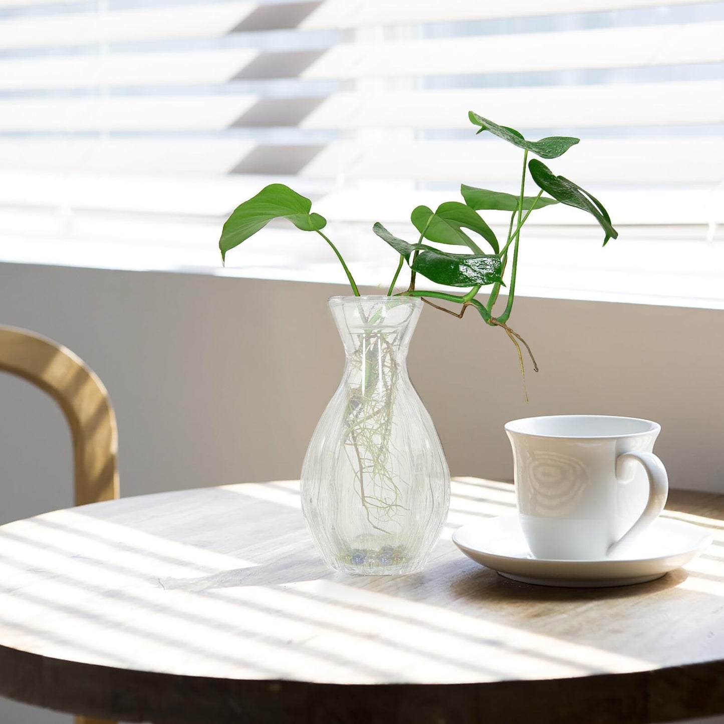 Abaodam Creative Hydroponic Glass Vase Set 4pcs Small Desktop Decorative Terrarium Vase Holders for Home Décor and Plant Display