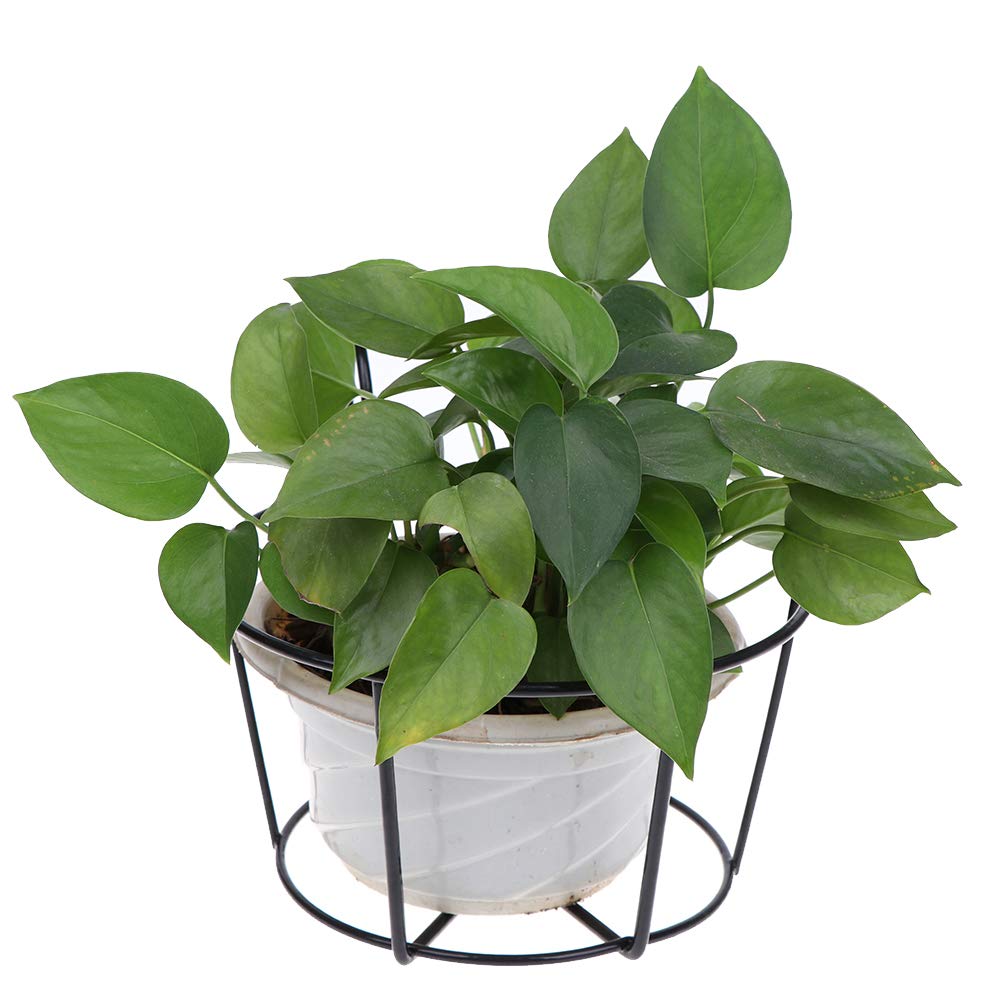 4 Pack Hanging Planters for Railings Rail Planter Hanging Baskets Flower Pot Holders Iron Plant Racks Metal Fence Planter Potted Stand Mounted Balcony Plant Baskets Container,Garden Steel Pots