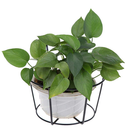 4 Pack Hanging Planters for Railings Rail Planter Hanging Baskets Flower Pot Holders Iron Plant Racks Metal Fence Planter Potted Stand Mounted Balcony Plant Baskets Container,Garden Steel Pots